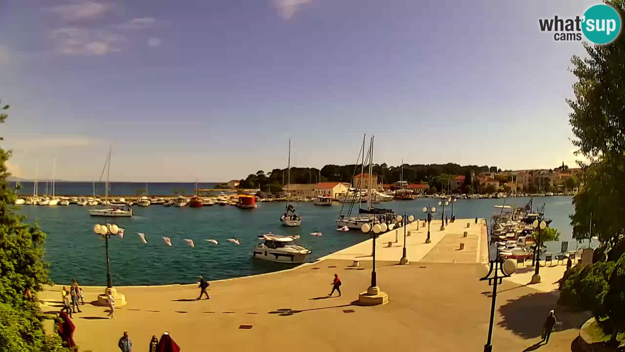 Webcam Krk – marina