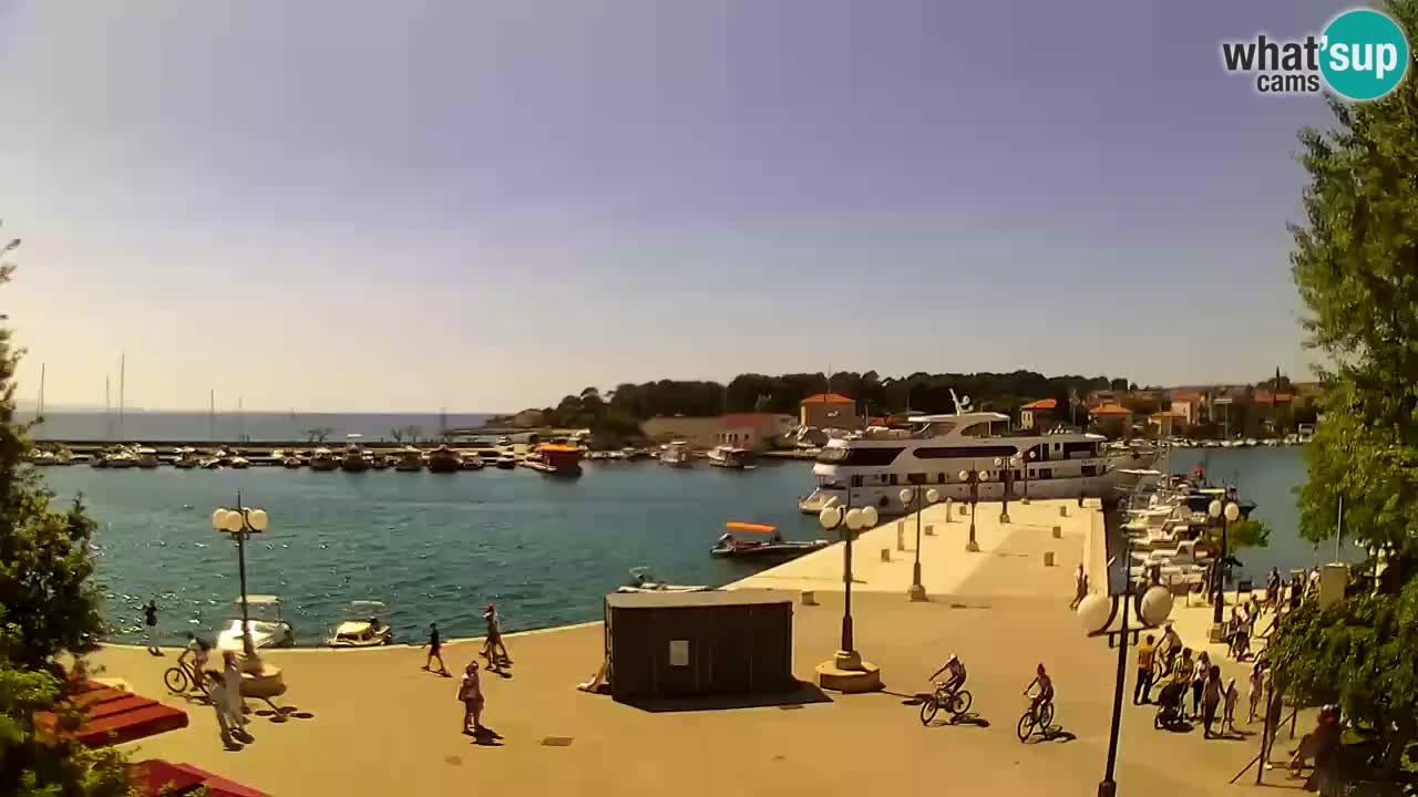 Webcam Krk – marina