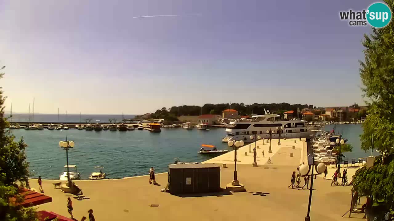 Webcam Krk – marina