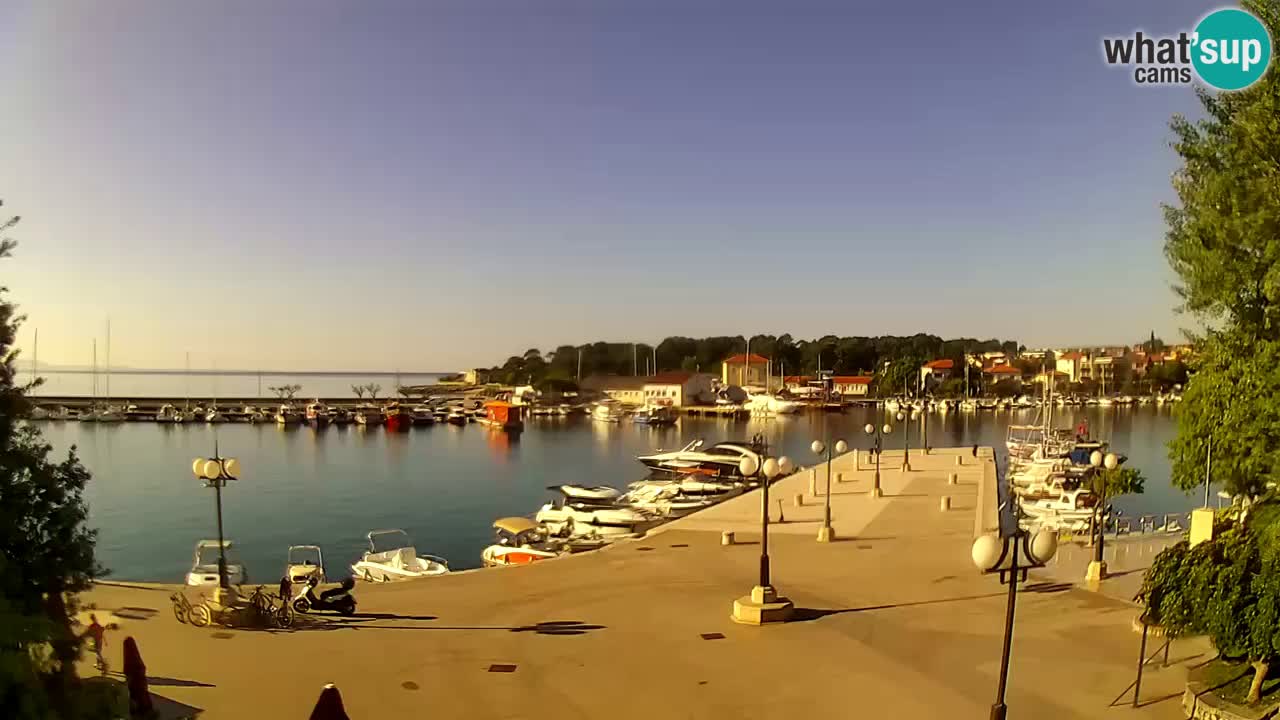 Webcam Krk – marina