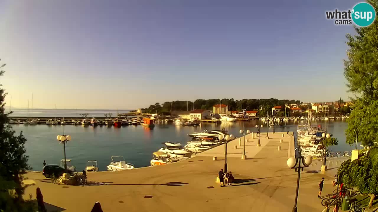 Webcam Krk – marina