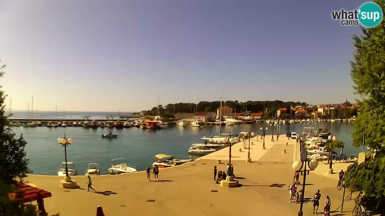 Webcam Krk – marina