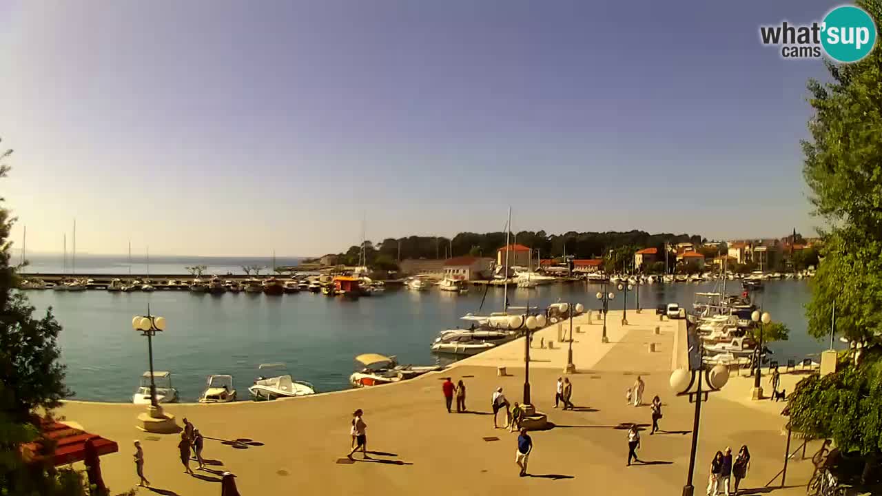 Webcam Krk – marina