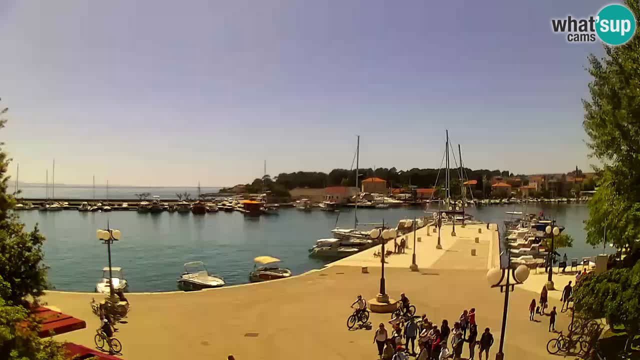 Webcam Krk – marina