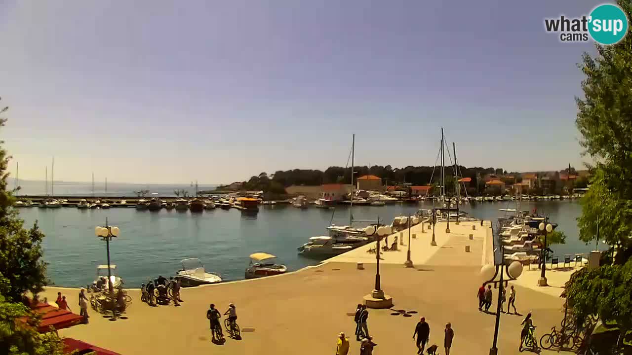 Webcam Krk – marina