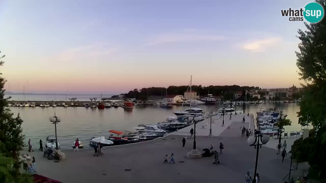 Webcam Krk – marina
