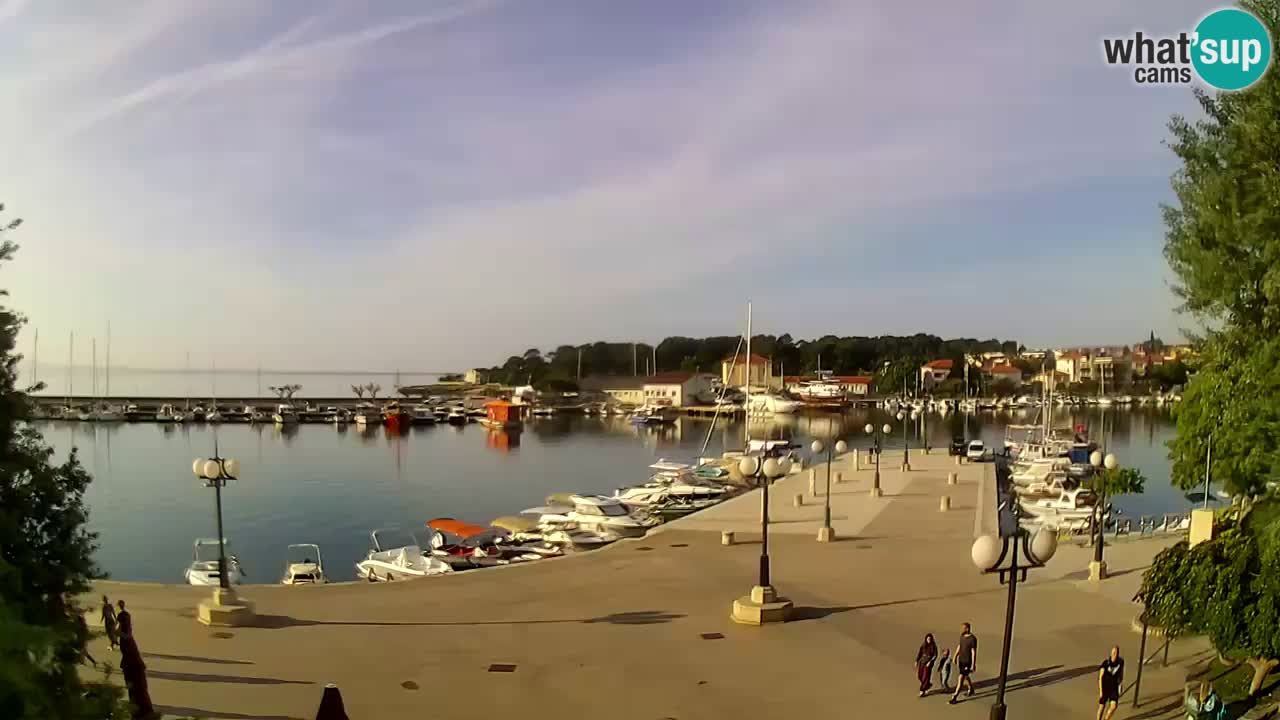 Webcam Krk – marina