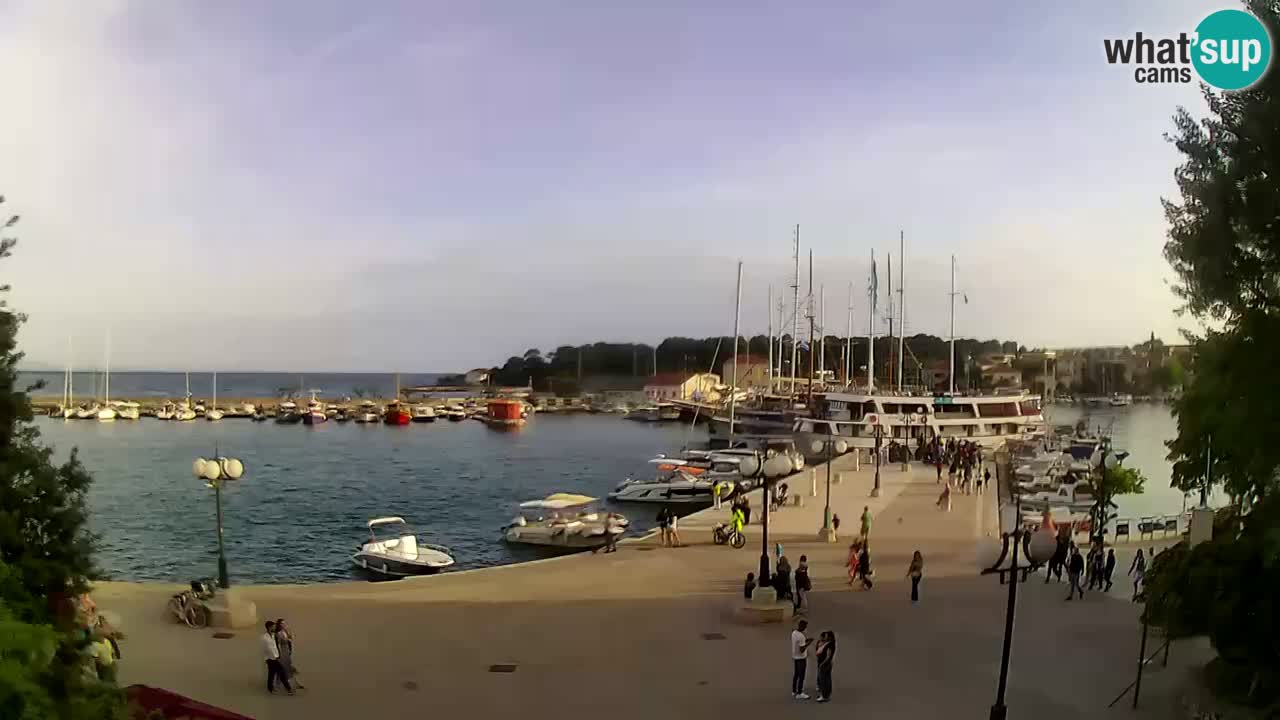 Webcam Krk – marina