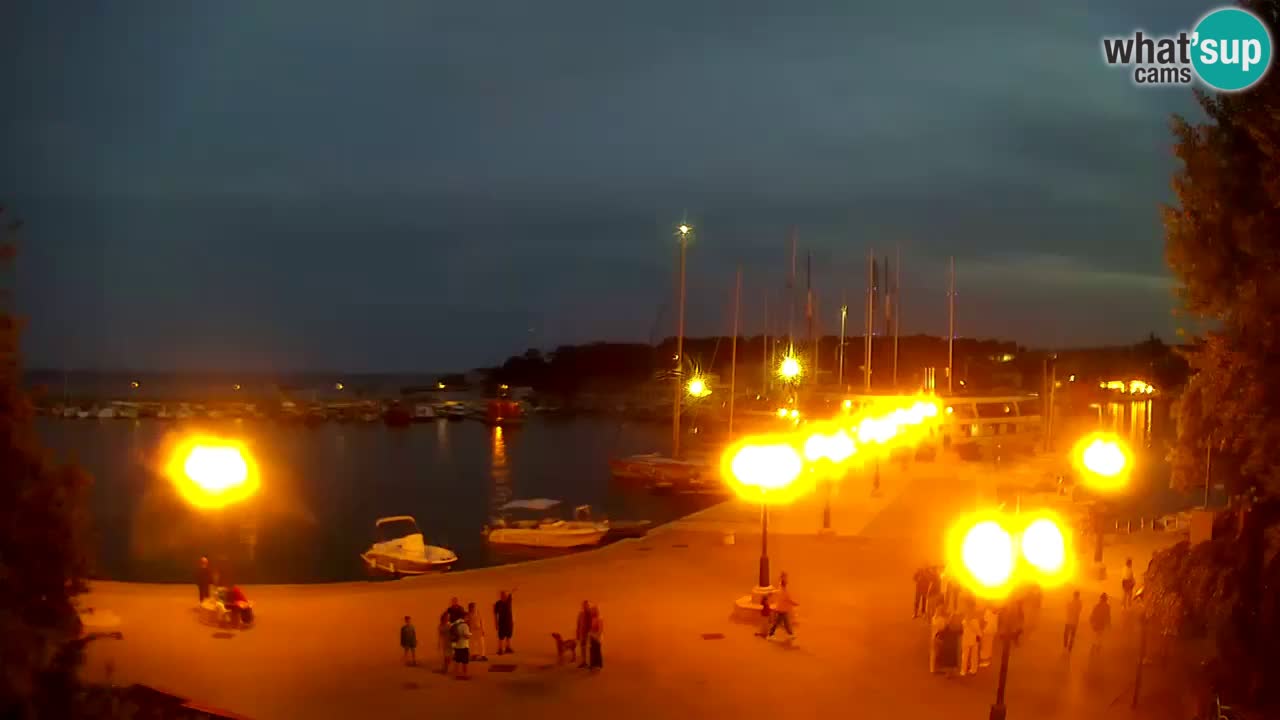 Webcam Krk – marina
