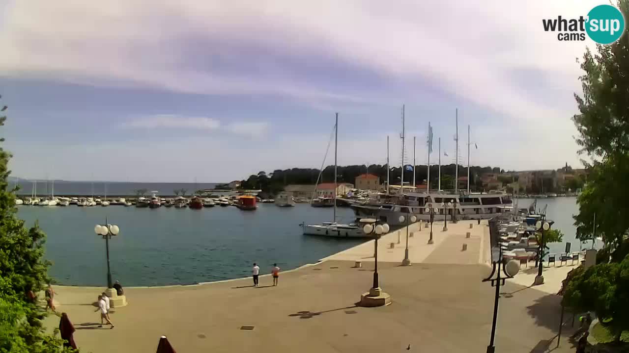 Webcam Krk – marina