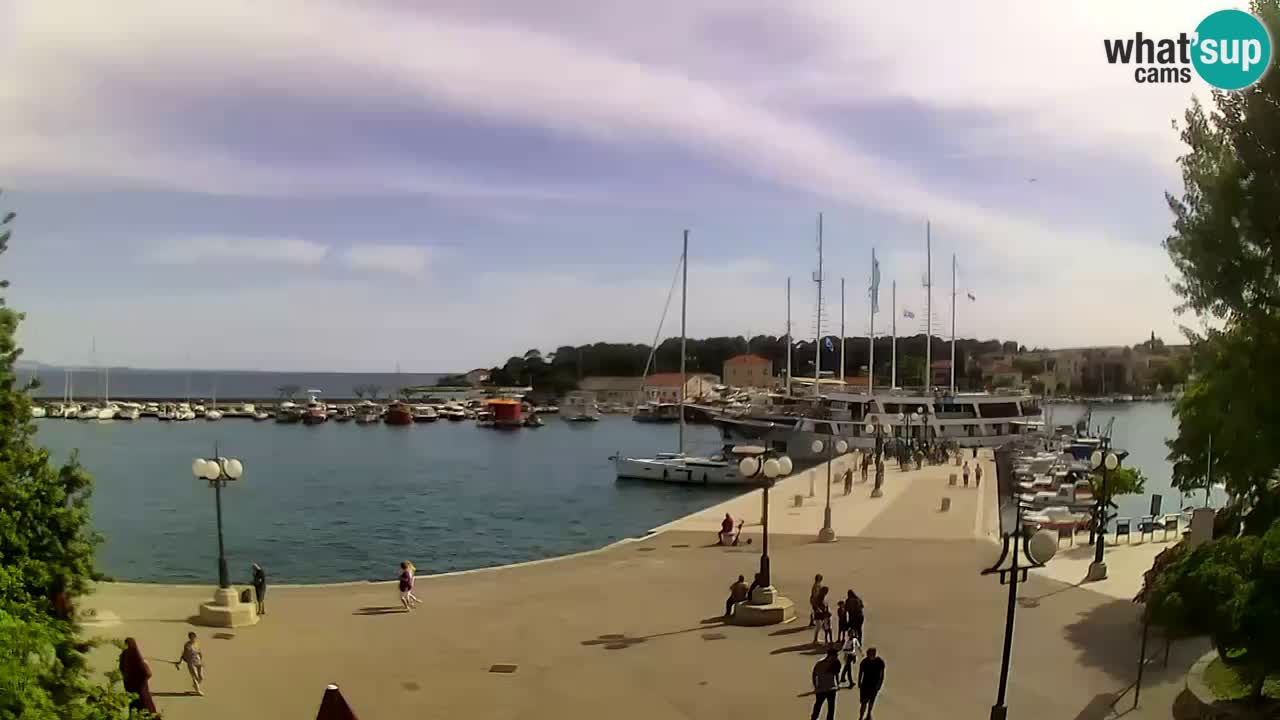 Webcam Krk – marina