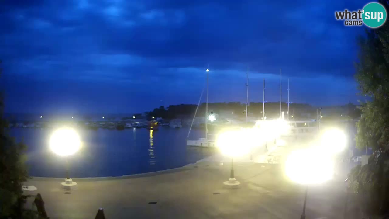 Webcam Krk – marina