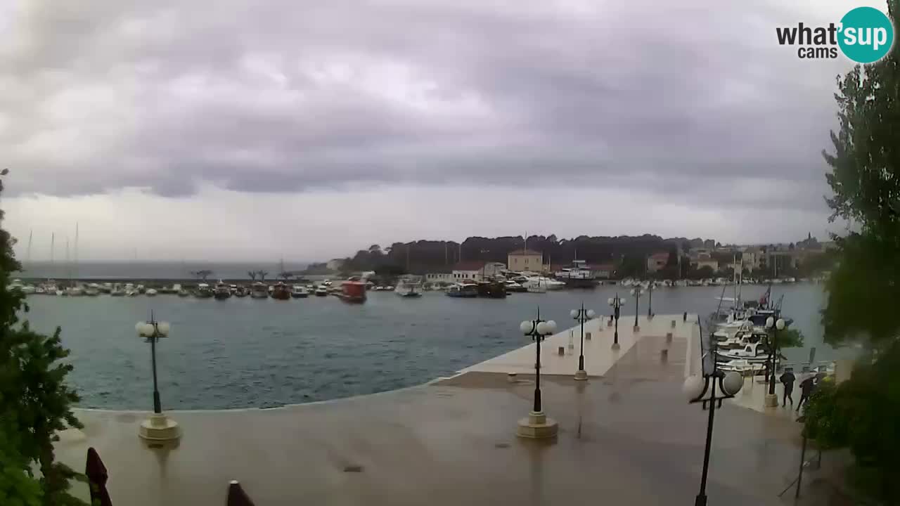 Webcam Krk – marina