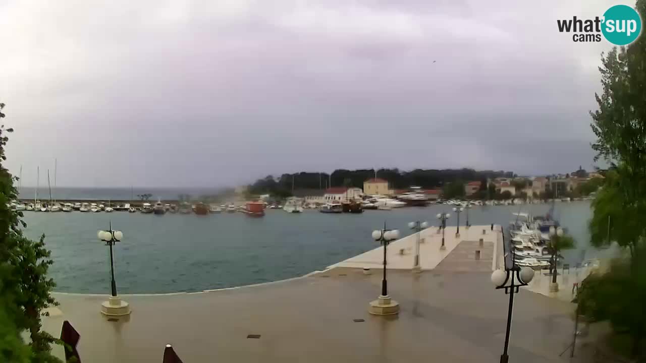Webcam Krk – marina