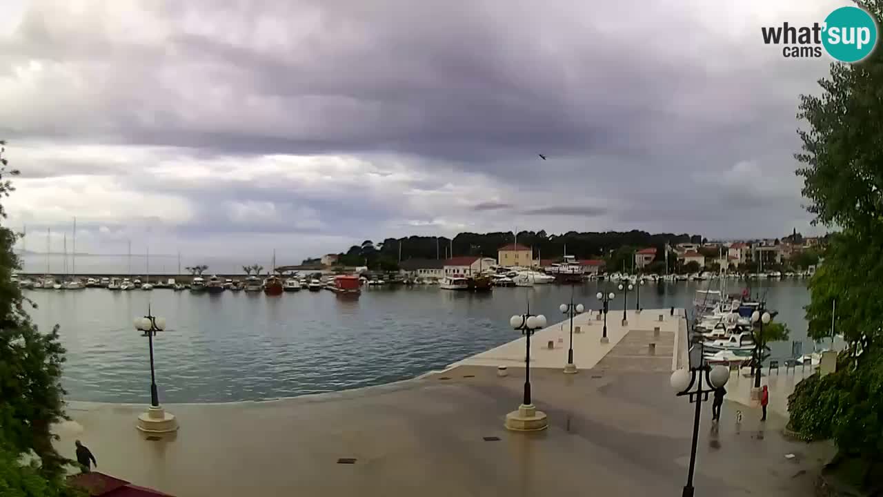 Webcam Krk – marina