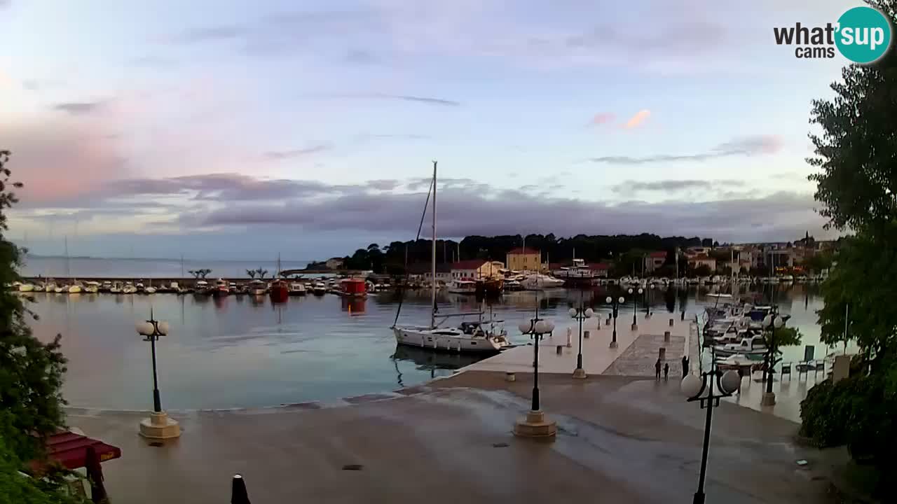 Webcam Krk – marina