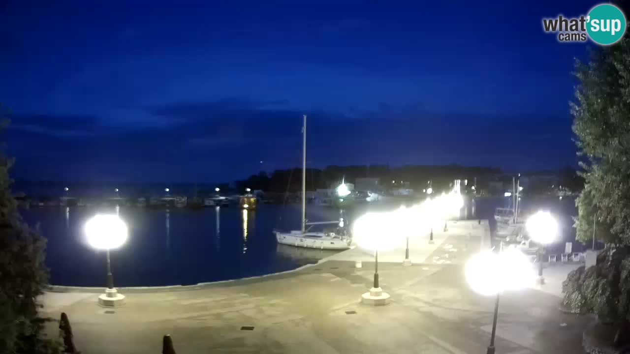 Webcam Krk – marina