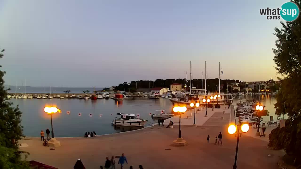 Webcam Krk – marina