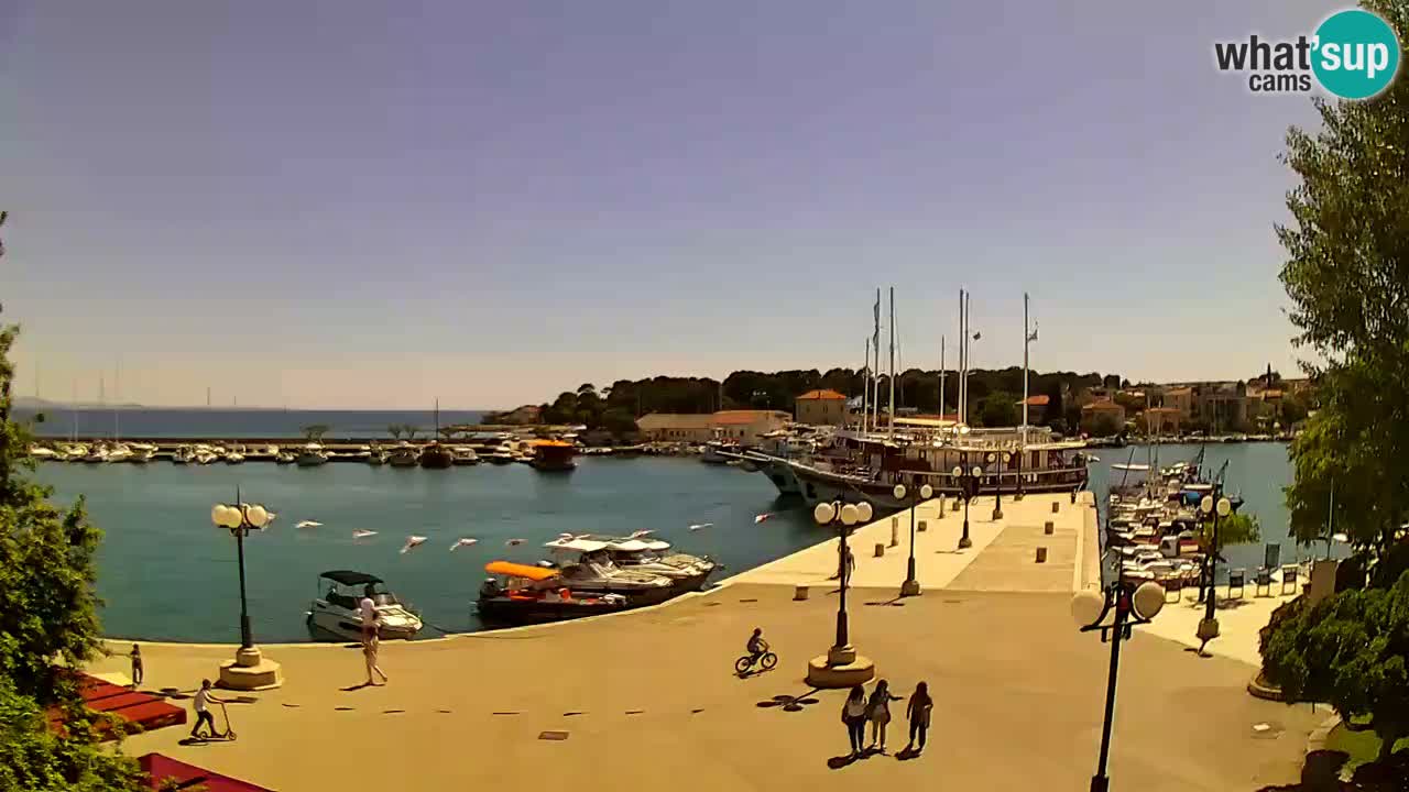 Webcam Krk – marina