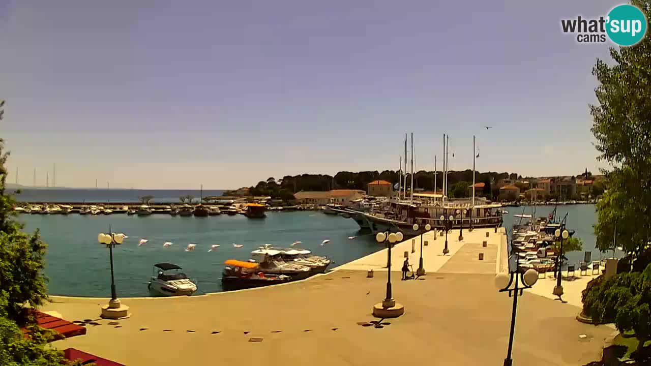 Webcam Krk – marina
