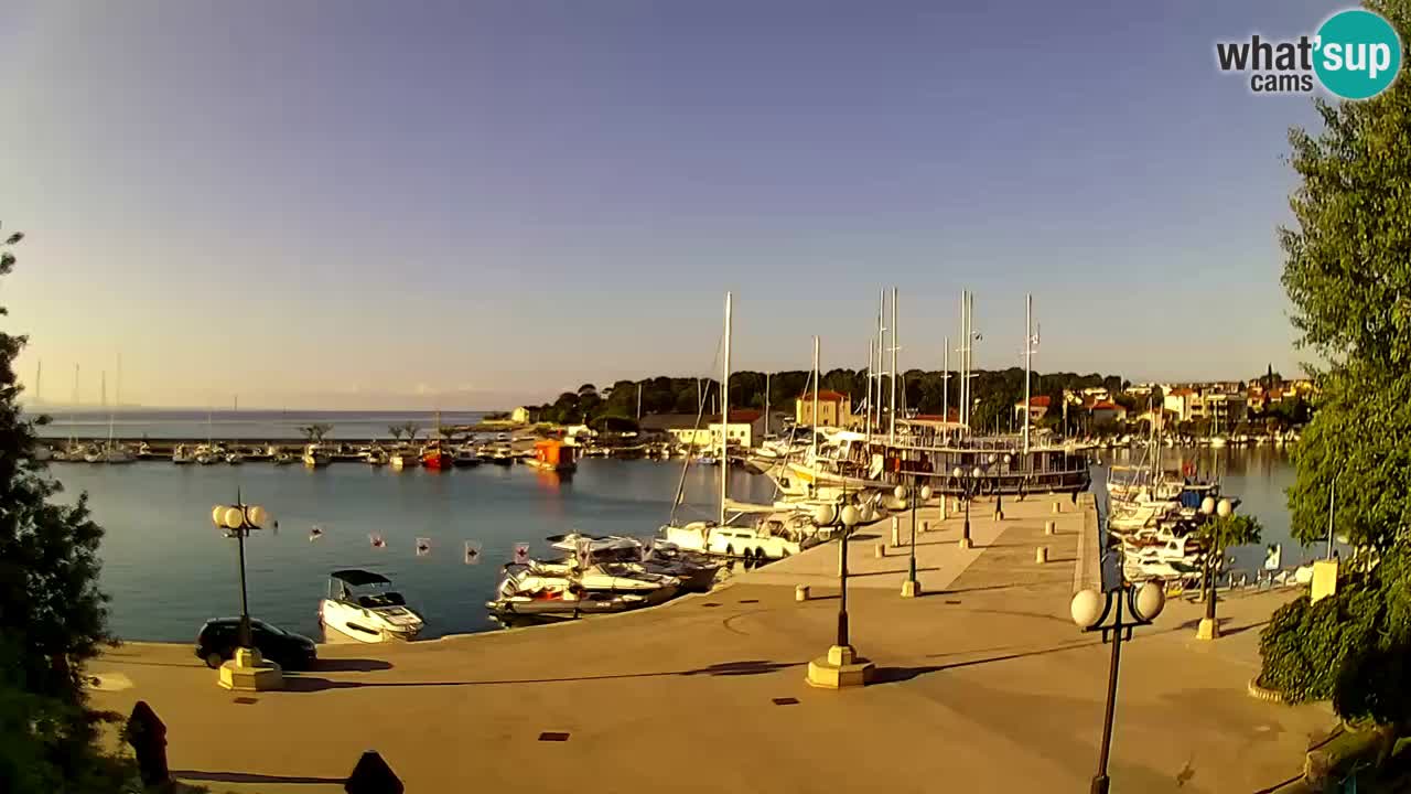 Webcam Krk – marina