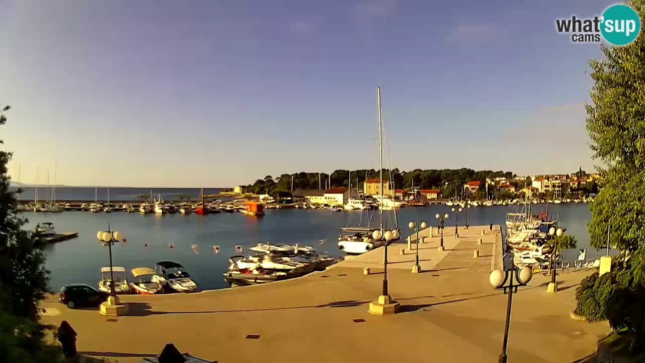 Webcam Krk – marina