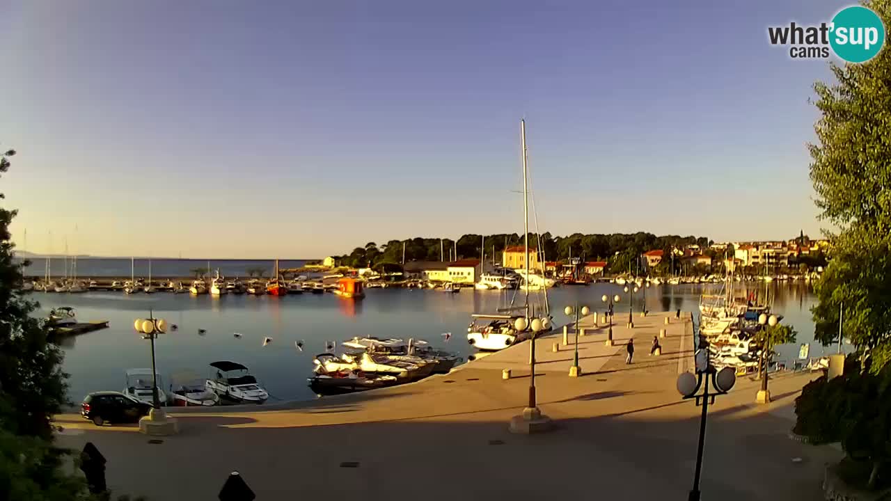 Webcam Krk – marina
