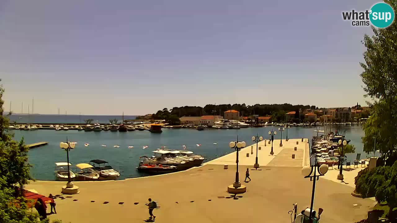 Webcam Krk – marina
