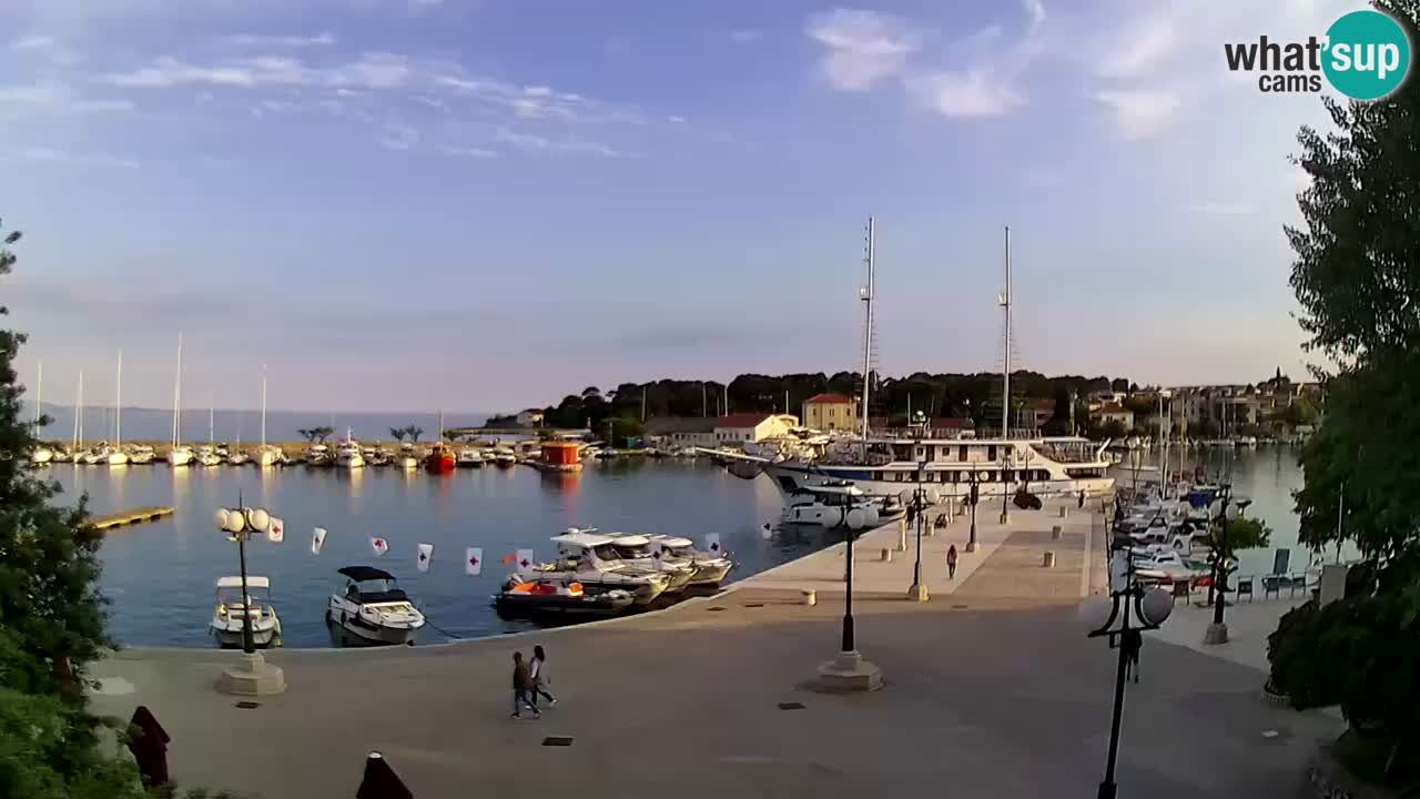 Webcam Krk – marina