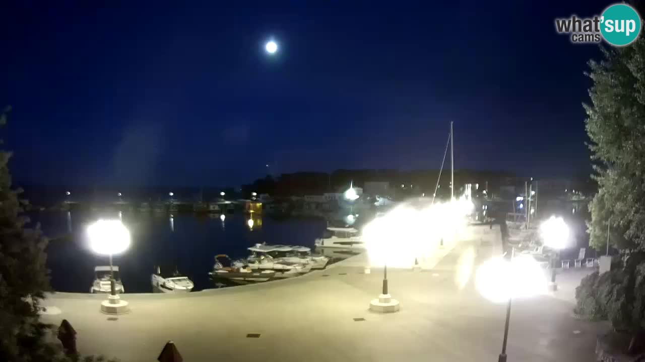 Webcam Krk – marina