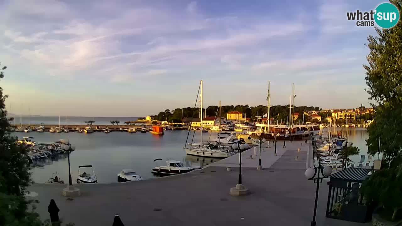 Webcam Krk – marina
