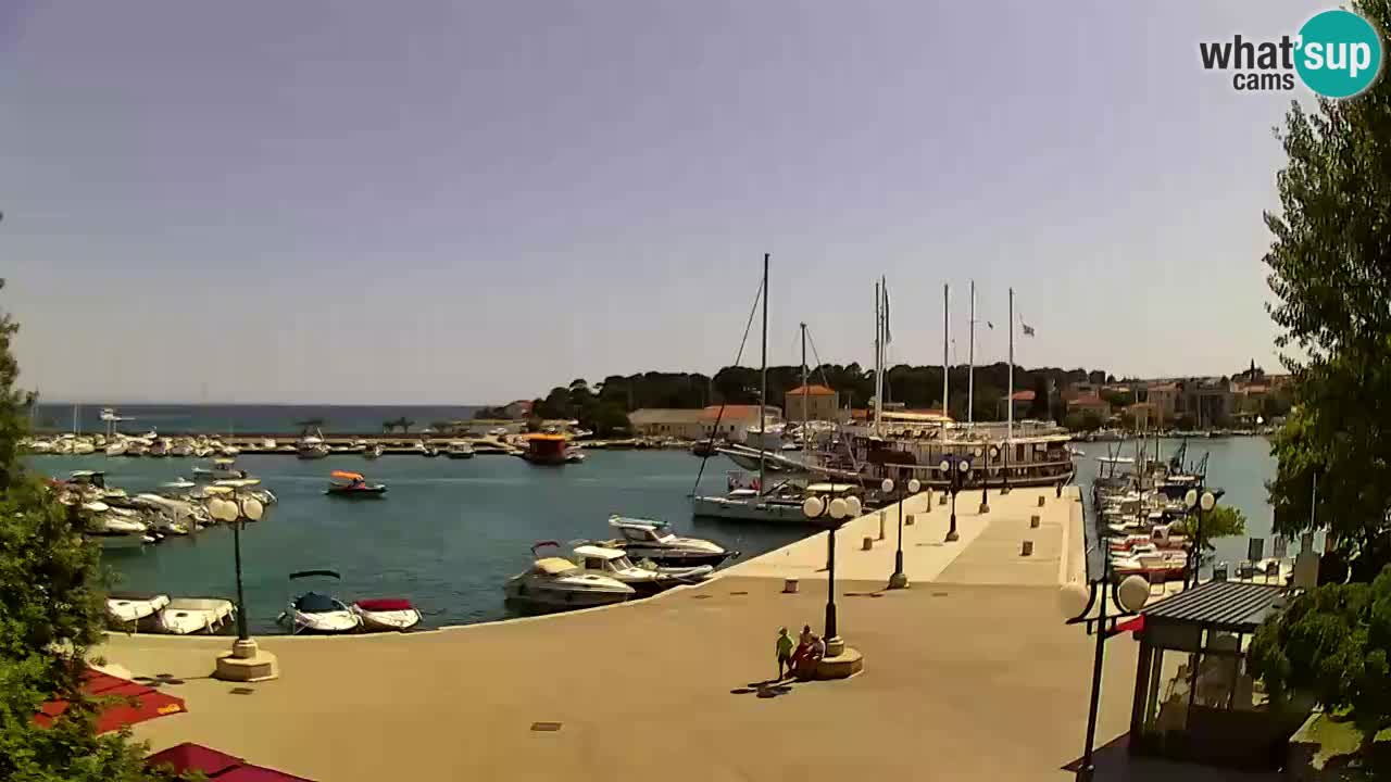 Webcam Krk – marina