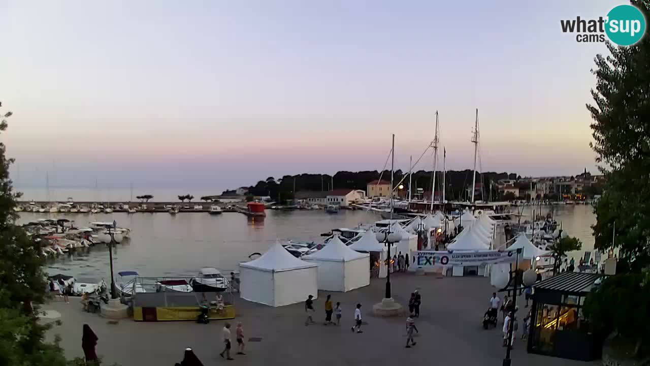 Webcam Krk – marina
