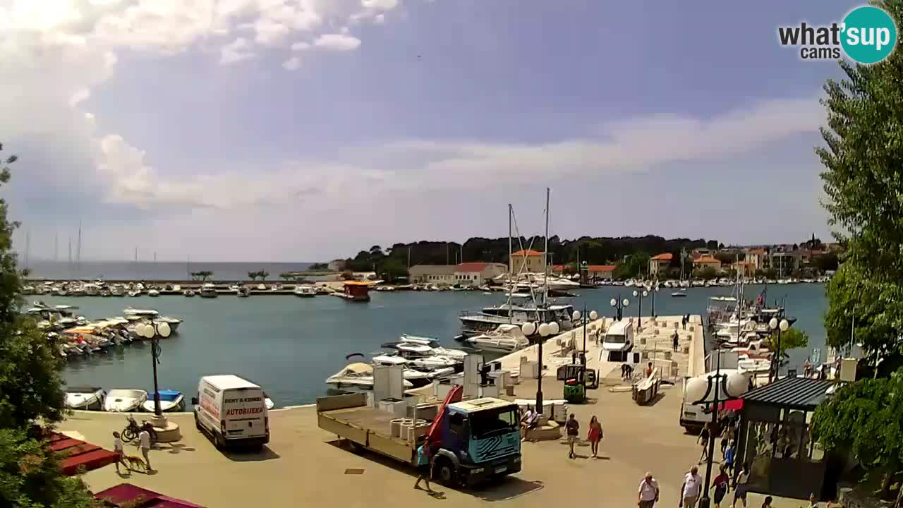 Webcam Krk – marina