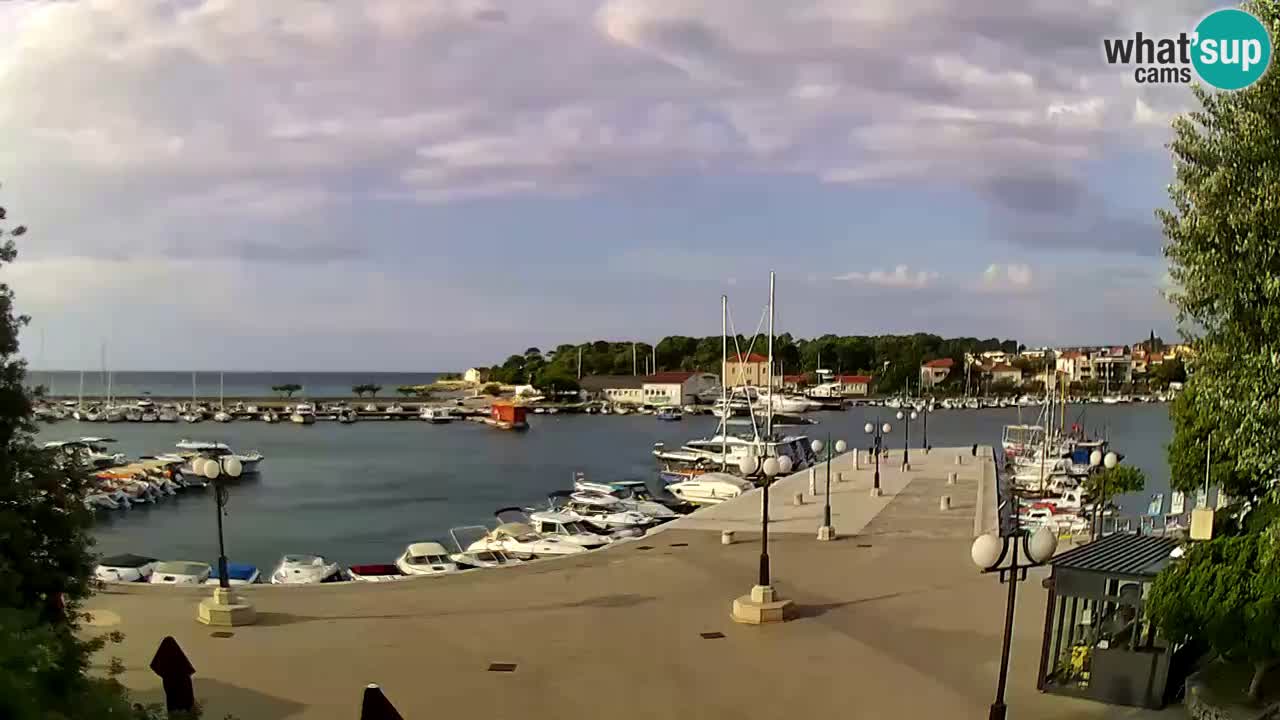 Webcam Krk – marina