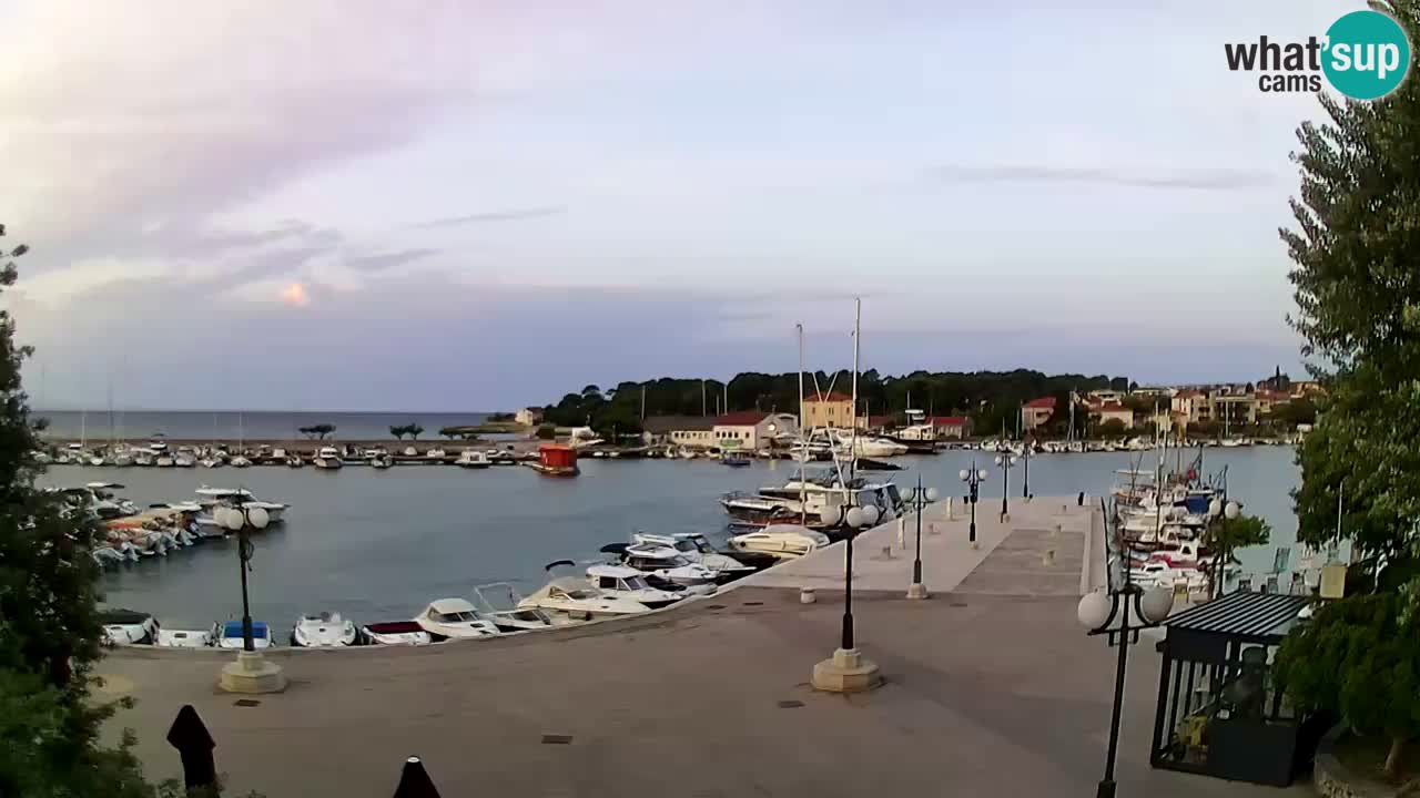 Webcam Krk – marina