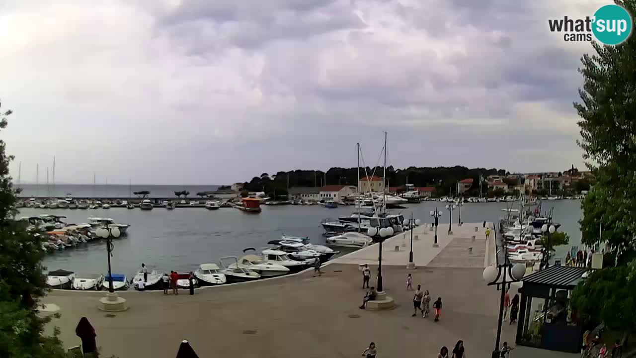 Webcam Krk – marina