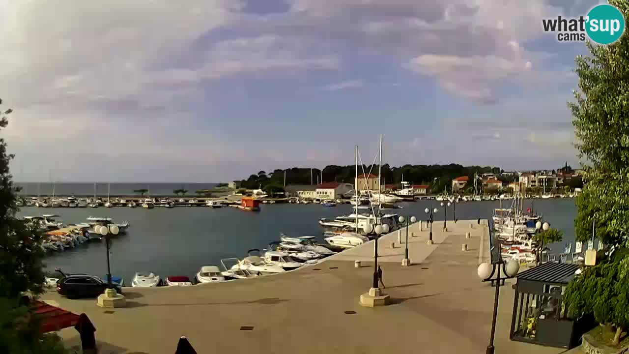 Webcam Krk – marina