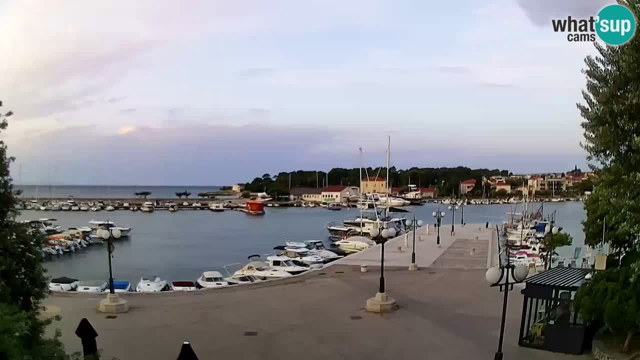Webcam Krk – marina