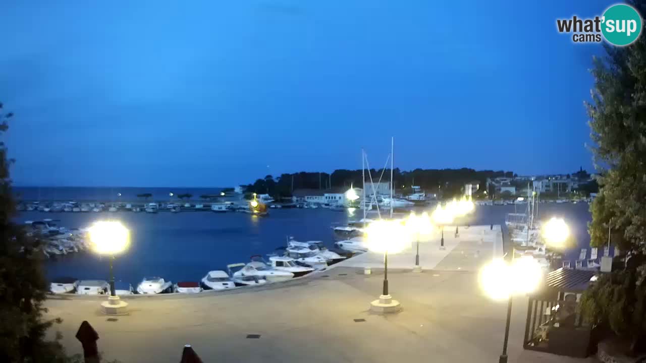 Webcam Krk – marina
