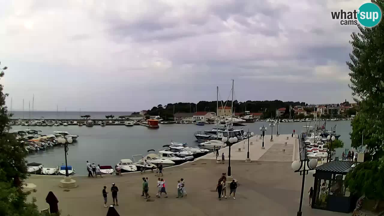 Webcam Krk – marina