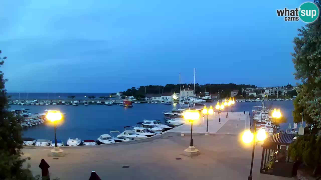 Webcam Krk – marina