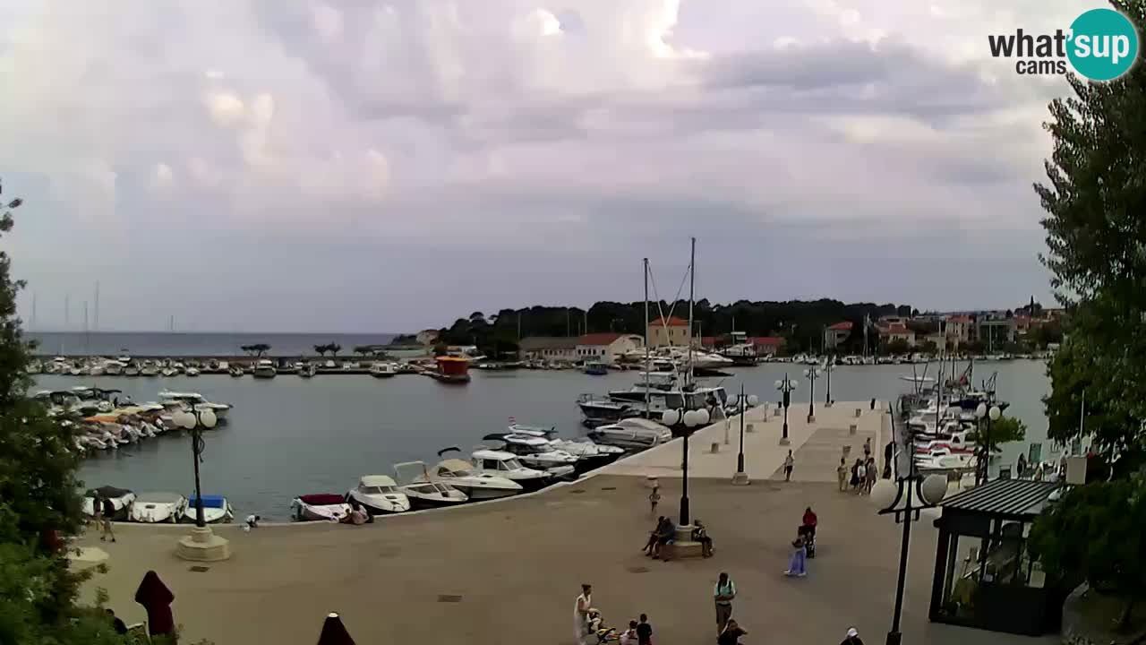 Webcam Krk – marina