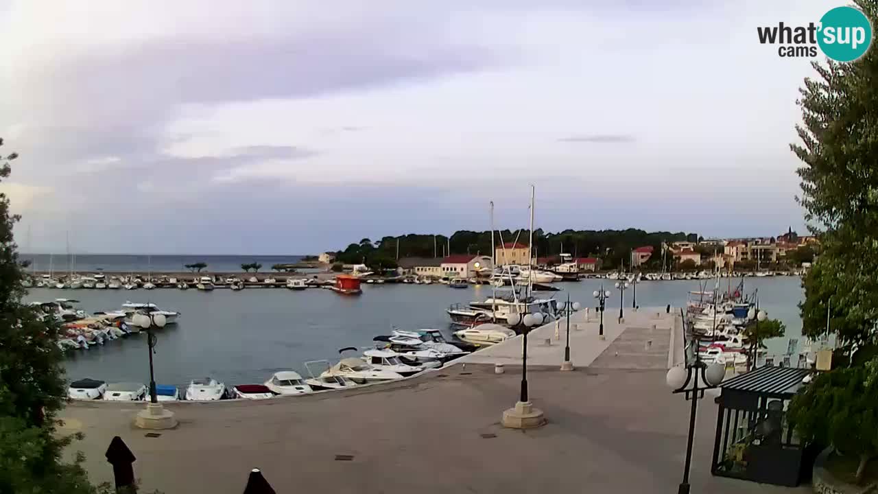 Webcam Krk – marina