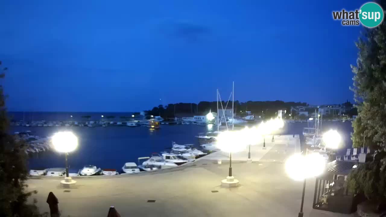 Webcam Krk – marina