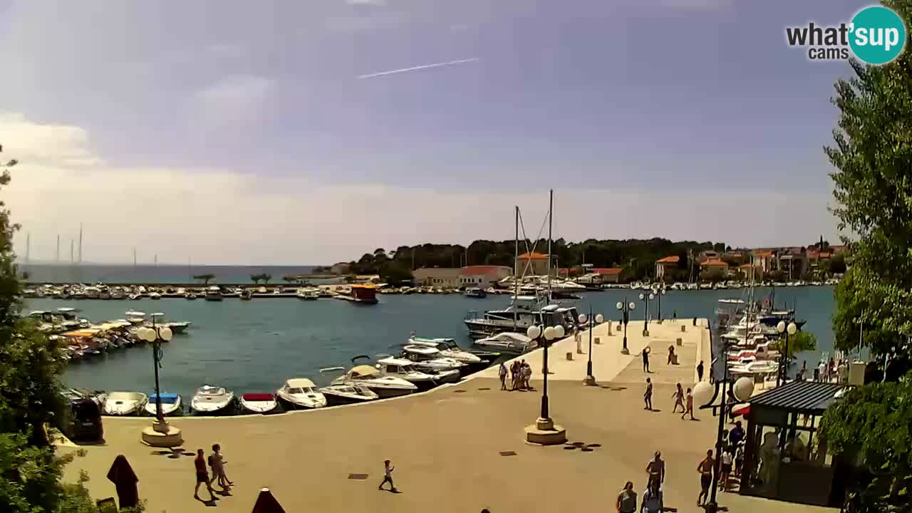 Webcam Krk – marina