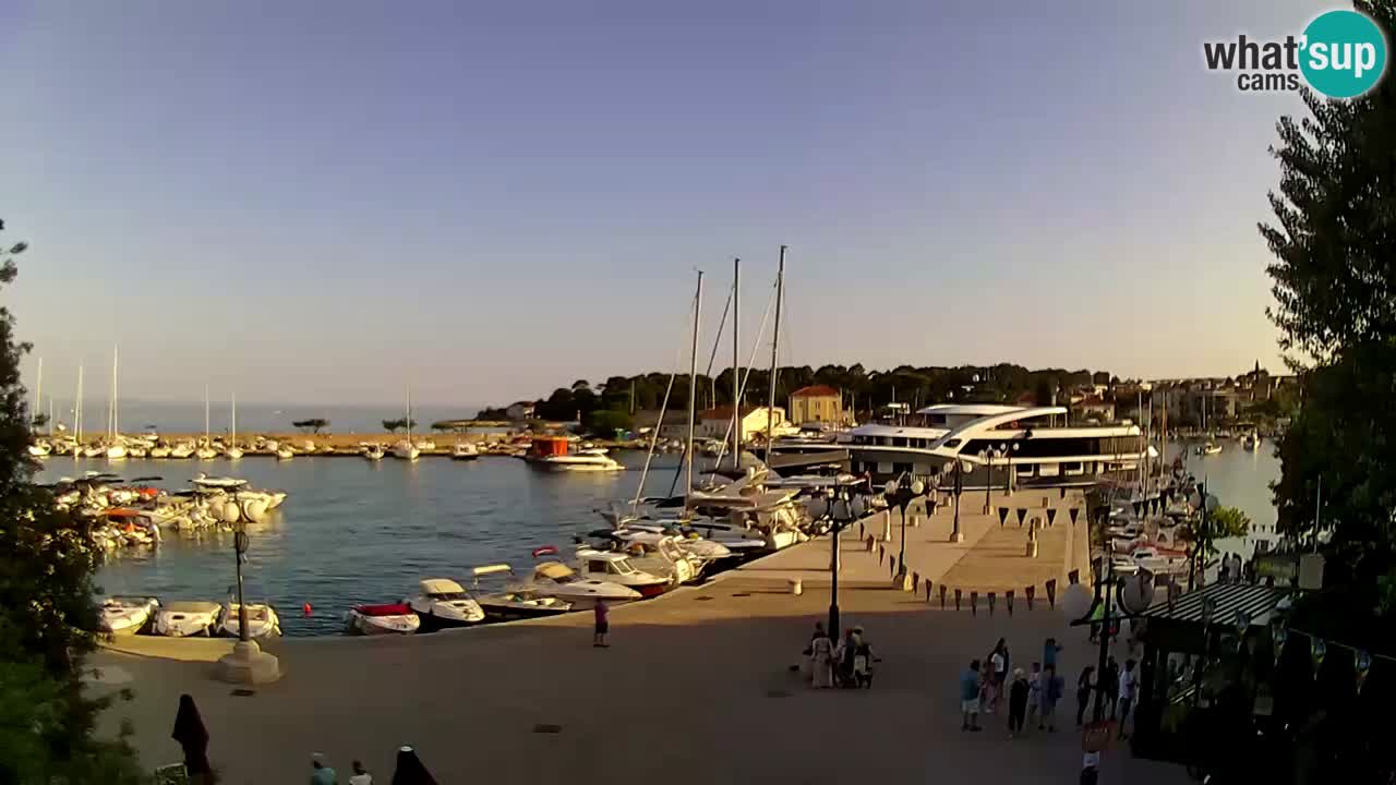Webcam Krk – marina