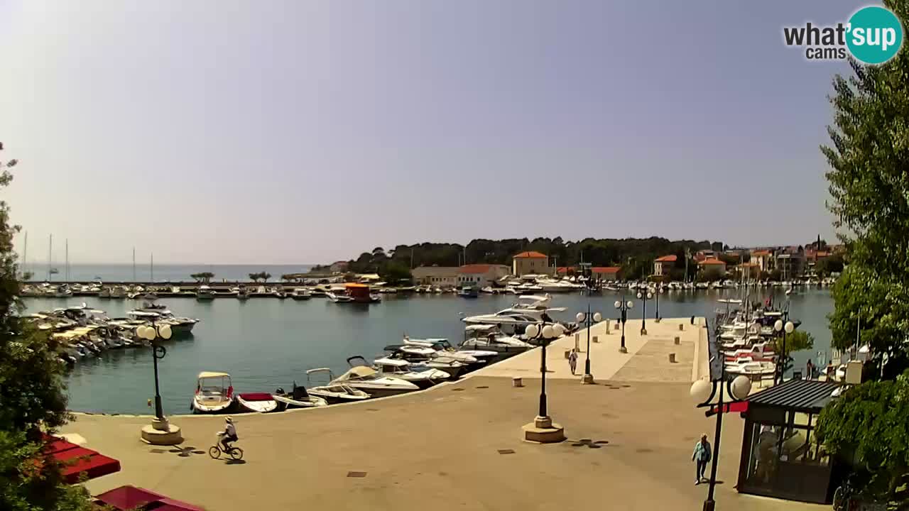 Webcam Krk – marina