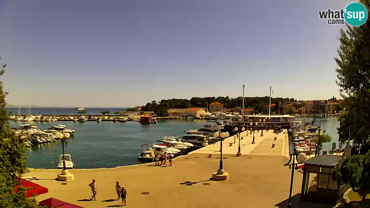 Webcam Krk – marina