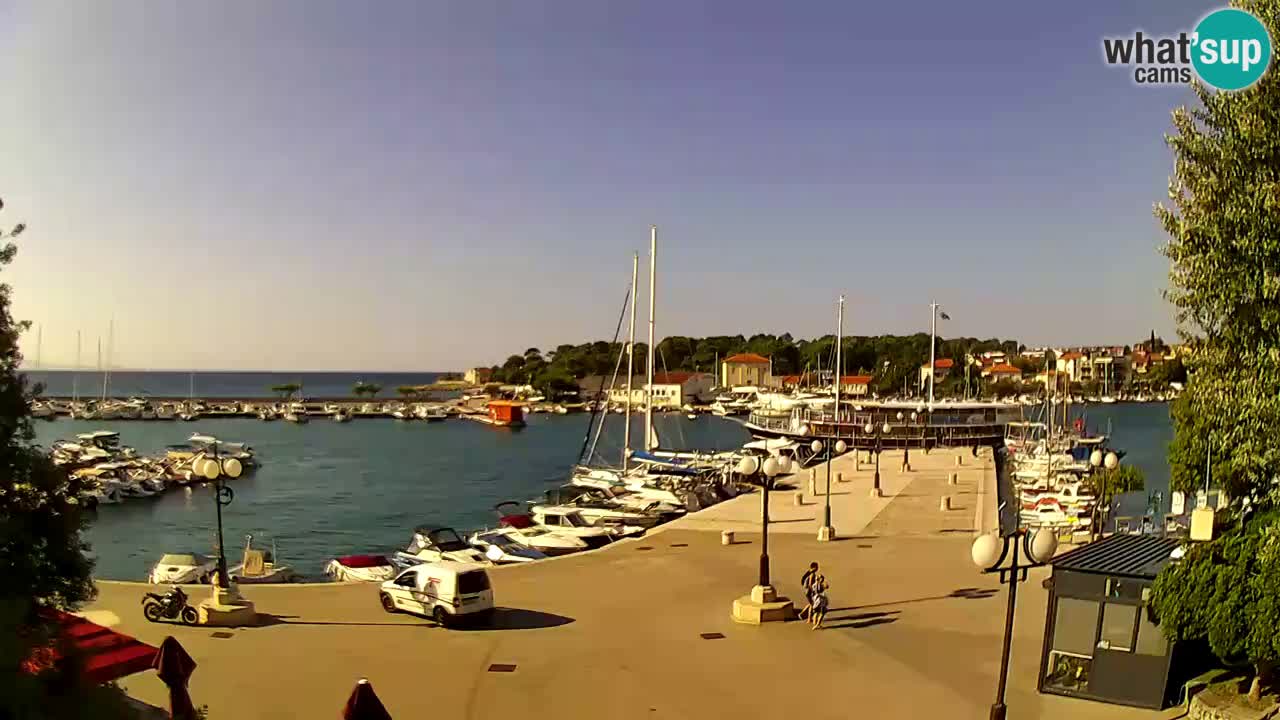 Webcam Krk – marina